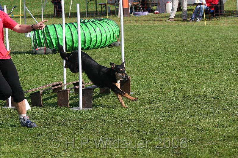 jubil.lusten. 126.jpg